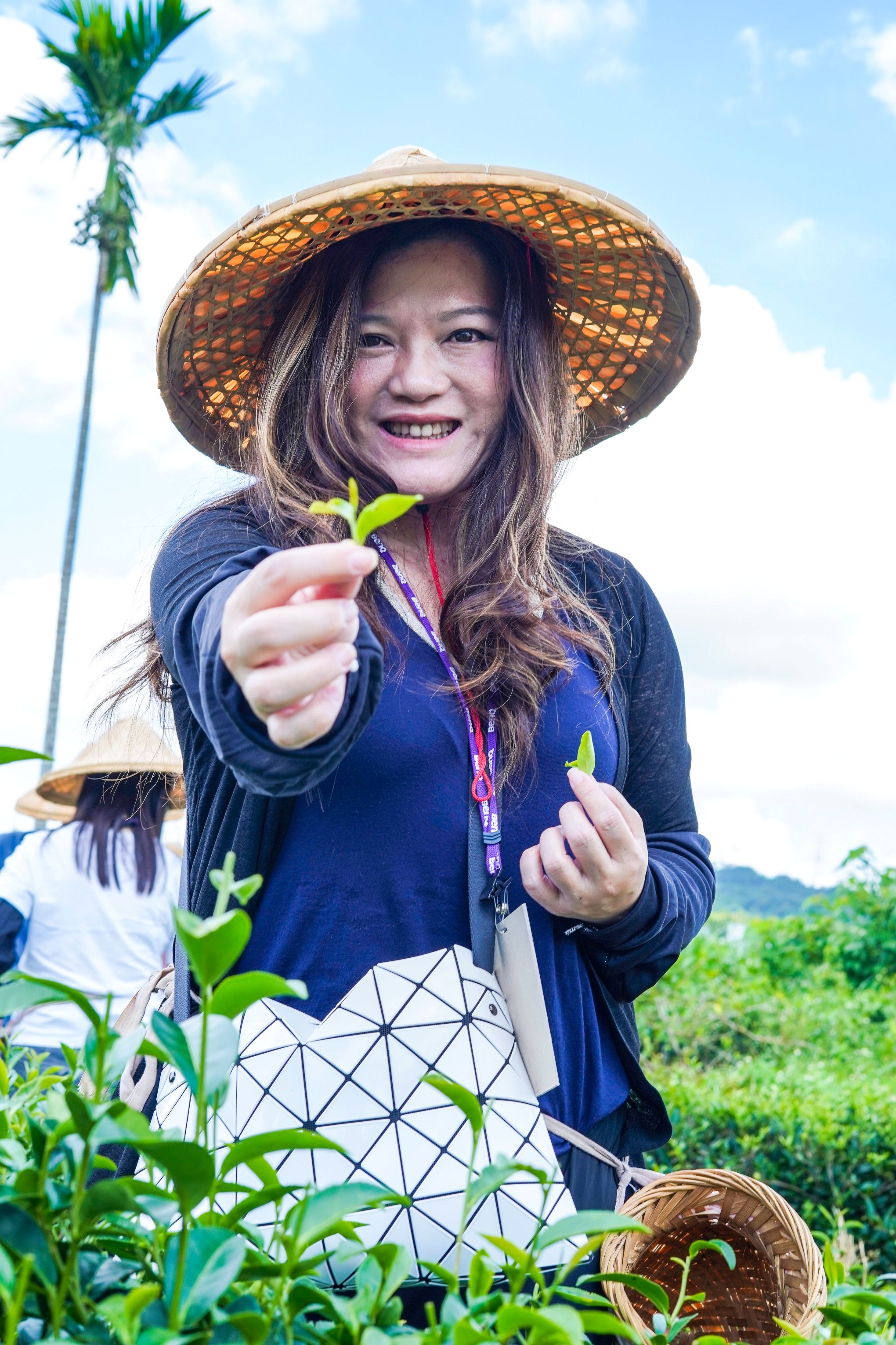 <br />
<b>Notice</b>:  Undefined index: msg_title in <b>/home/gibenqfo/public_html/modules/feature-slider_benq_detail.php</b> on line <b>54</b><br />
