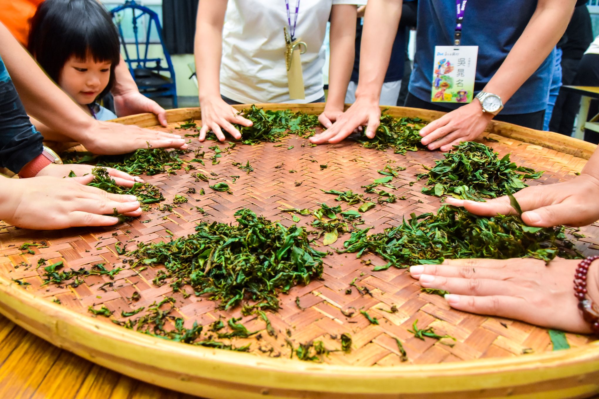 <br />
<b>Notice</b>:  Undefined index: msg_title in <b>/home/gibenqfo/public_html/modules/feature-slider_benq_detail.php</b> on line <b>54</b><br />
