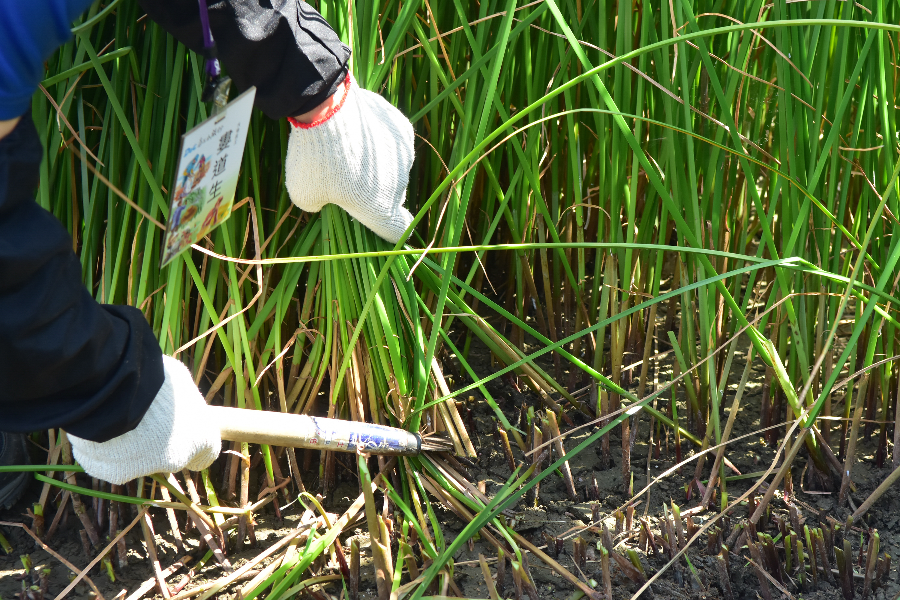 <br />
<b>Notice</b>:  Undefined index: msg_title in <b>/home/gibenqfo/public_html/modules/feature-slider_benq_detail.php</b> on line <b>54</b><br />
