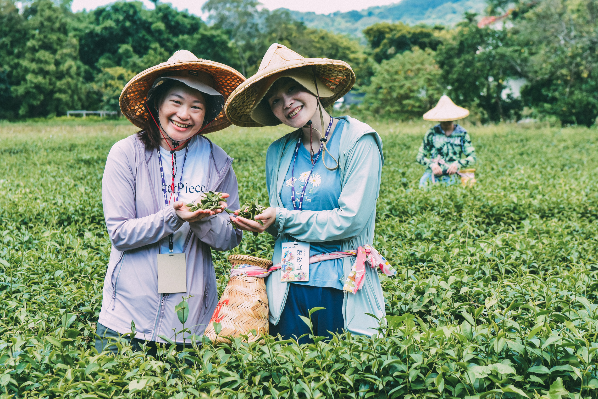 <br />
<b>Notice</b>:  Undefined index: msg_title in <b>/home/gibenqfo/public_html/modules/feature-slider_benq_detail.php</b> on line <b>54</b><br />
