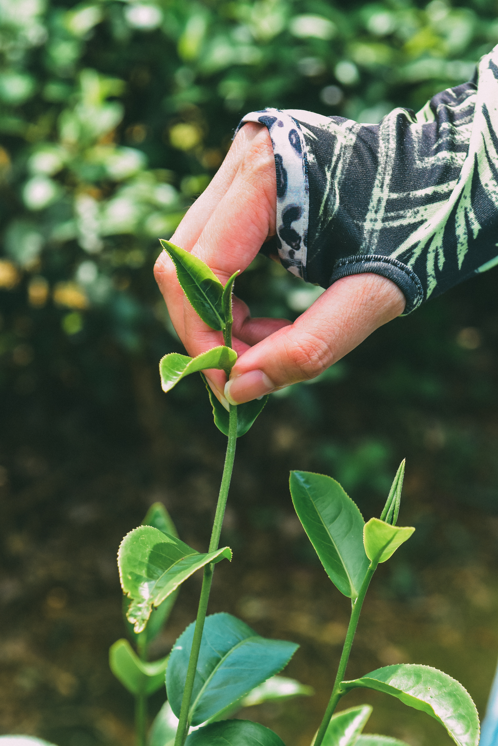 <br />
<b>Notice</b>:  Undefined index: msg_title in <b>/home/gibenqfo/public_html/modules/feature-slider_benq_detail.php</b> on line <b>54</b><br />
