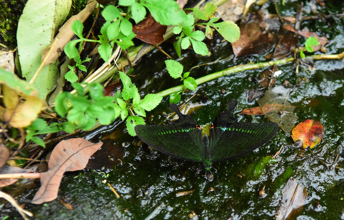 <br />
<b>Notice</b>:  Undefined index: msg_title in <b>/home/gibenqfo/public_html/modules/feature-slider_benq_detail.php</b> on line <b>54</b><br />
