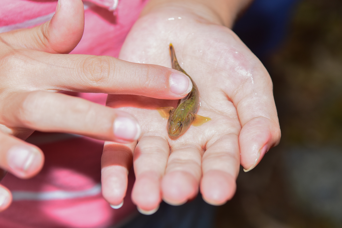 <br />
<b>Notice</b>:  Undefined index: msg_title in <b>/home/gibenqfo/public_html/modules/feature-slider_benq_detail.php</b> on line <b>54</b><br />
