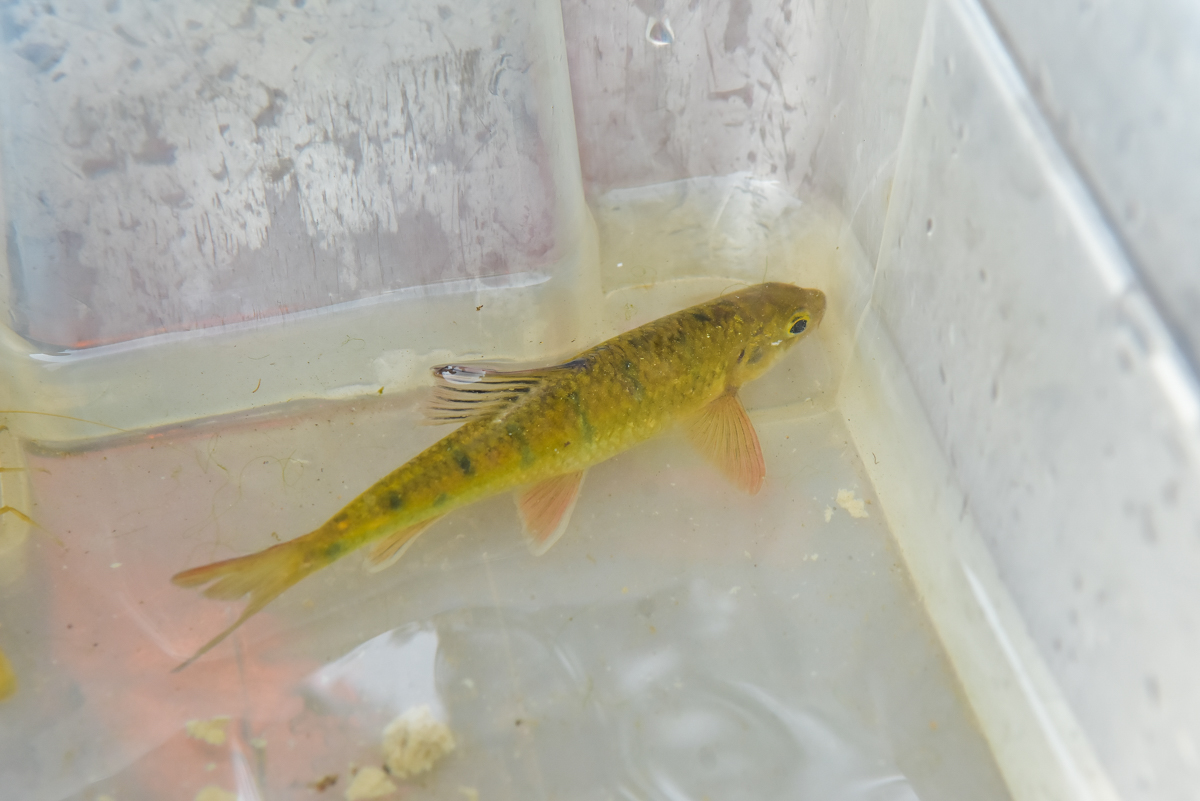 <br />
<b>Notice</b>:  Undefined index: msg_title in <b>/home/gibenqfo/public_html/modules/feature-slider_benq_detail.php</b> on line <b>54</b><br />
