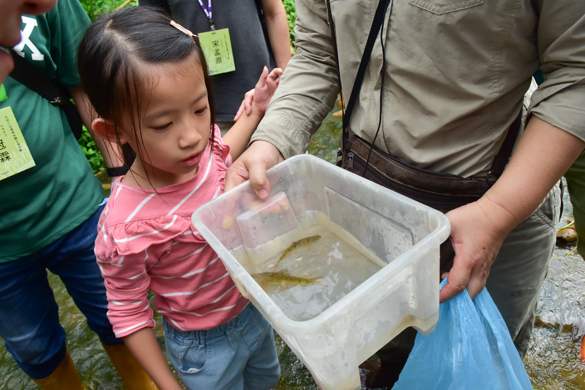 <br />
<b>Notice</b>:  Undefined index: msg_title in <b>/home/gibenqfo/public_html/modules/feature-slider_benq_detail.php</b> on line <b>54</b><br />
