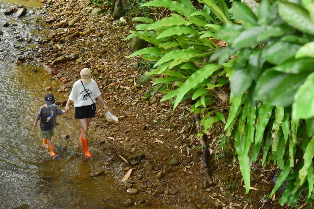 <br />
<b>Notice</b>:  Undefined index: msg_title in <b>/home/gibenqfo/public_html/modules/feature-slider_benq_detail.php</b> on line <b>54</b><br />
