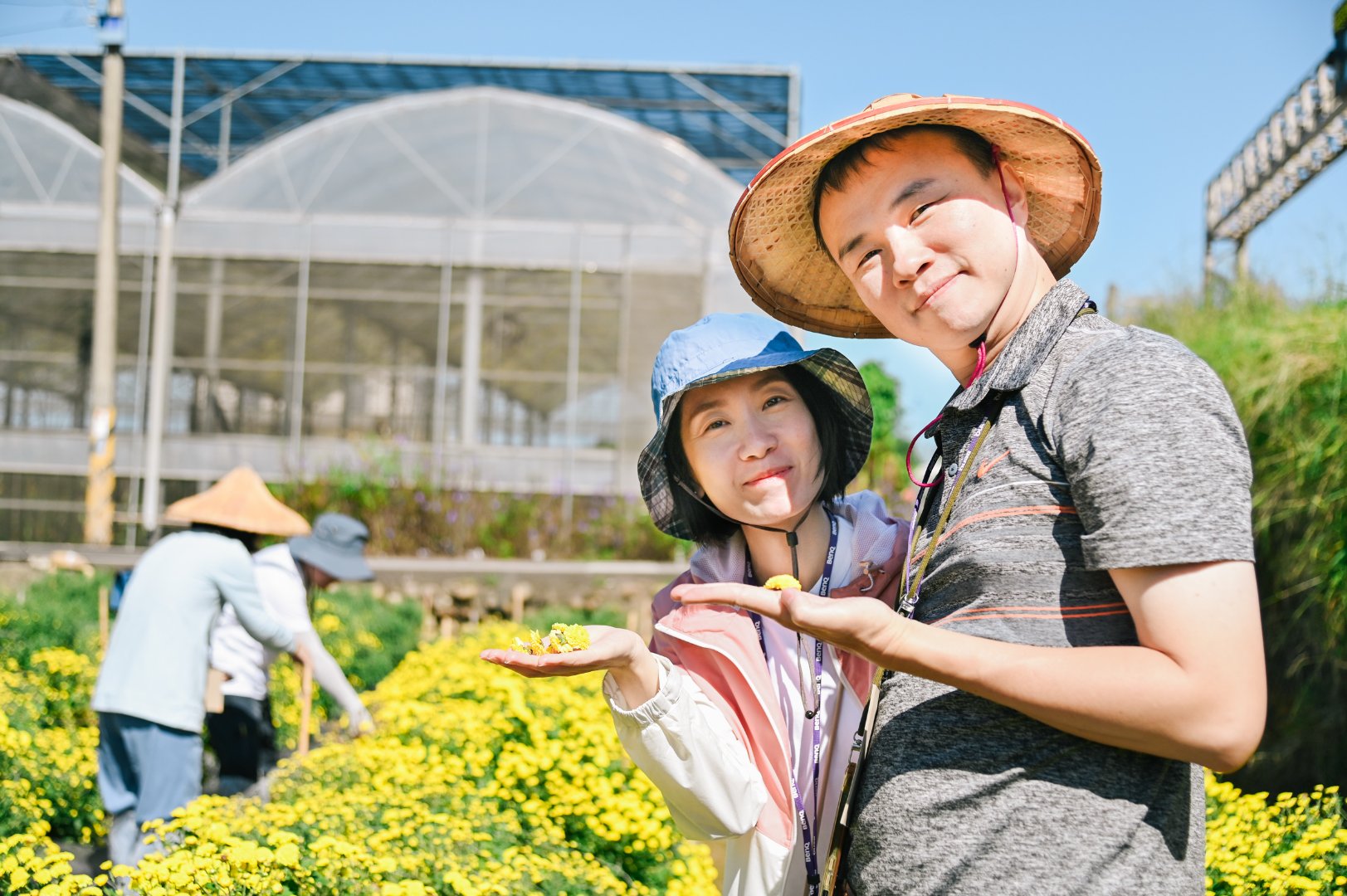 <br />
<b>Notice</b>:  Undefined index: msg_title in <b>/home/gibenqfo/public_html/modules/feature-slider_benq_detail.php</b> on line <b>54</b><br />
