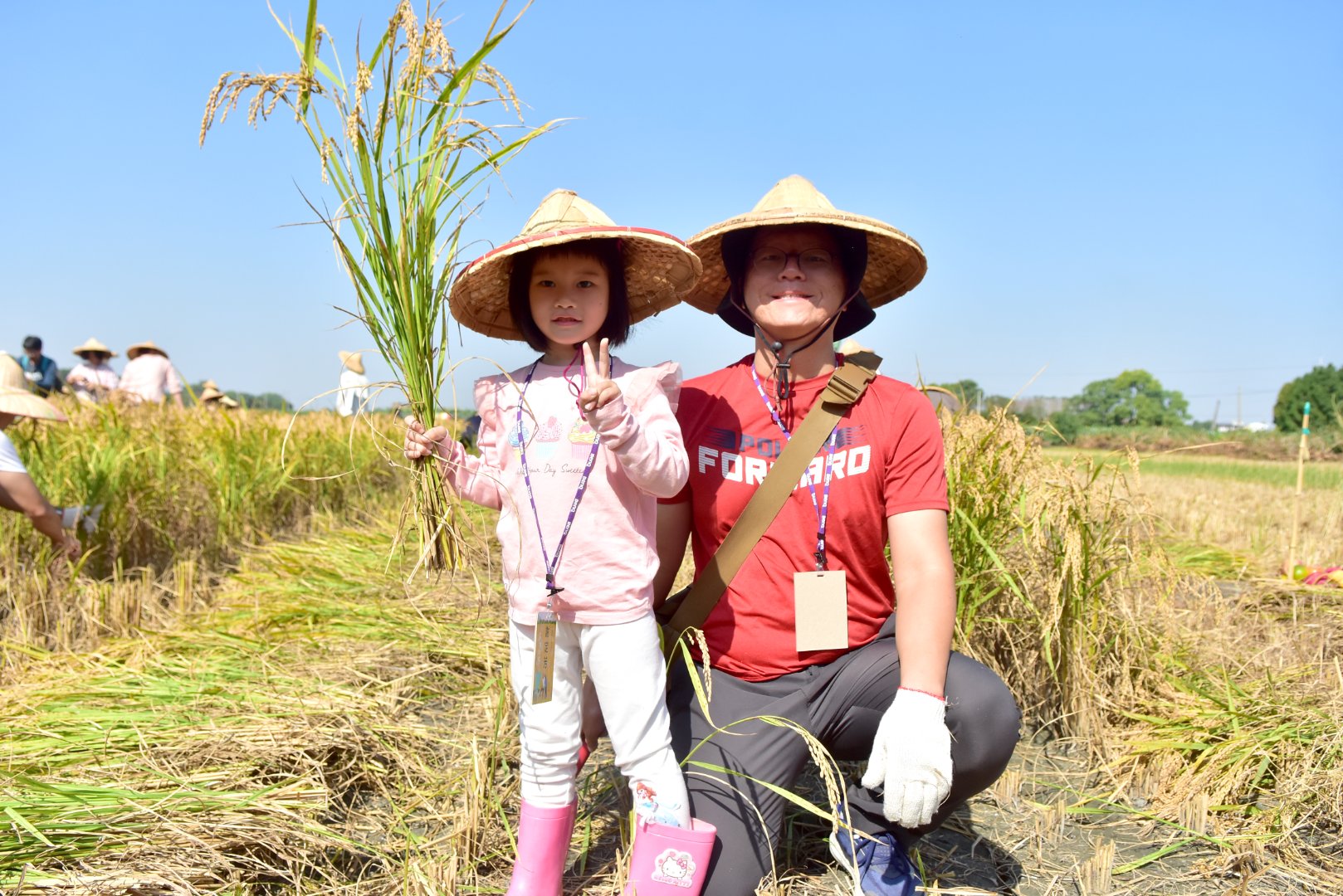 <br />
<b>Notice</b>:  Undefined index: msg_title in <b>/home/gibenqfo/public_html/modules/feature-slider_benq_detail.php</b> on line <b>54</b><br />
