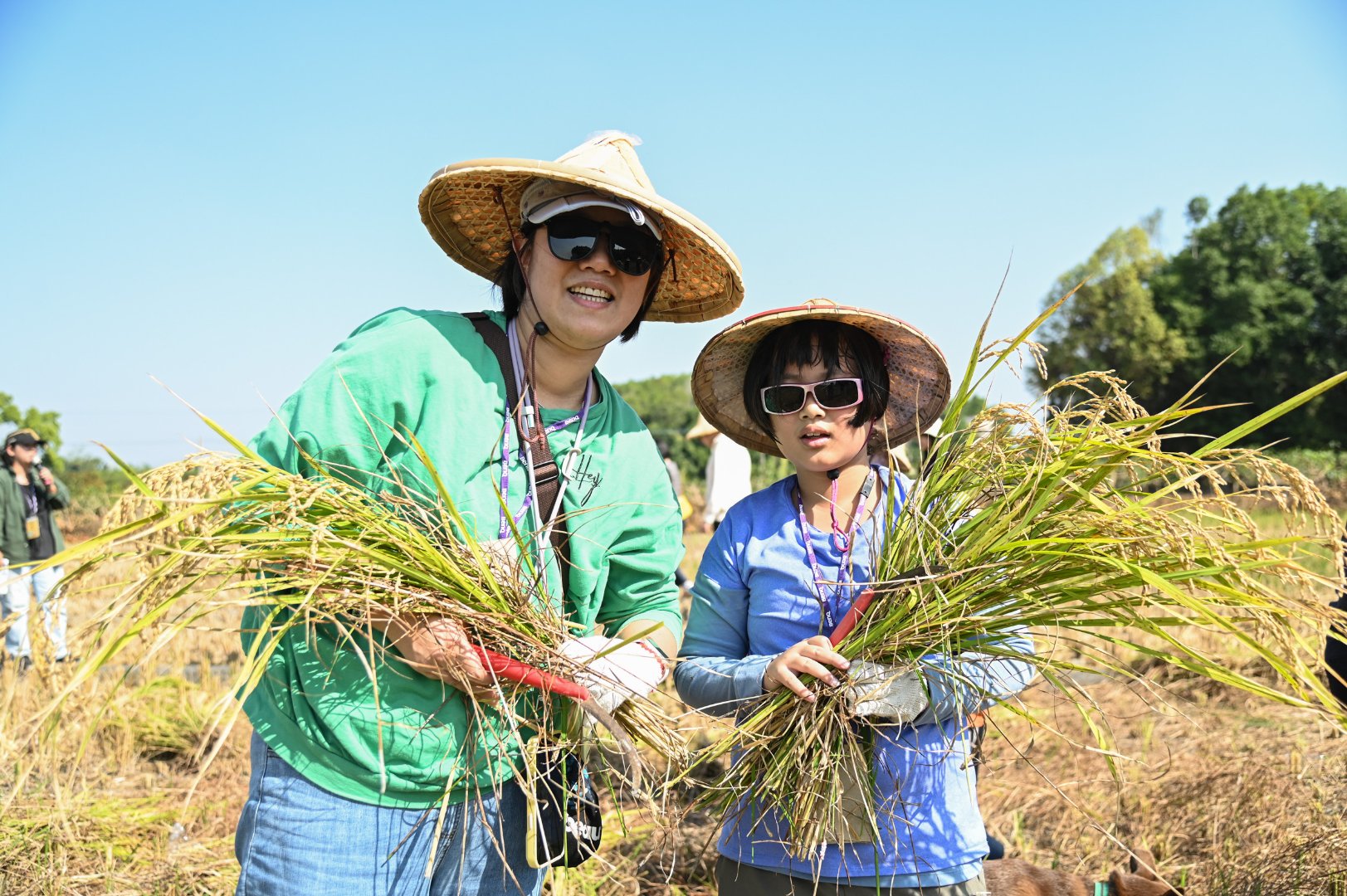 <br />
<b>Notice</b>:  Undefined index: msg_title in <b>/home/gibenqfo/public_html/modules/feature-slider_benq_detail.php</b> on line <b>54</b><br />
