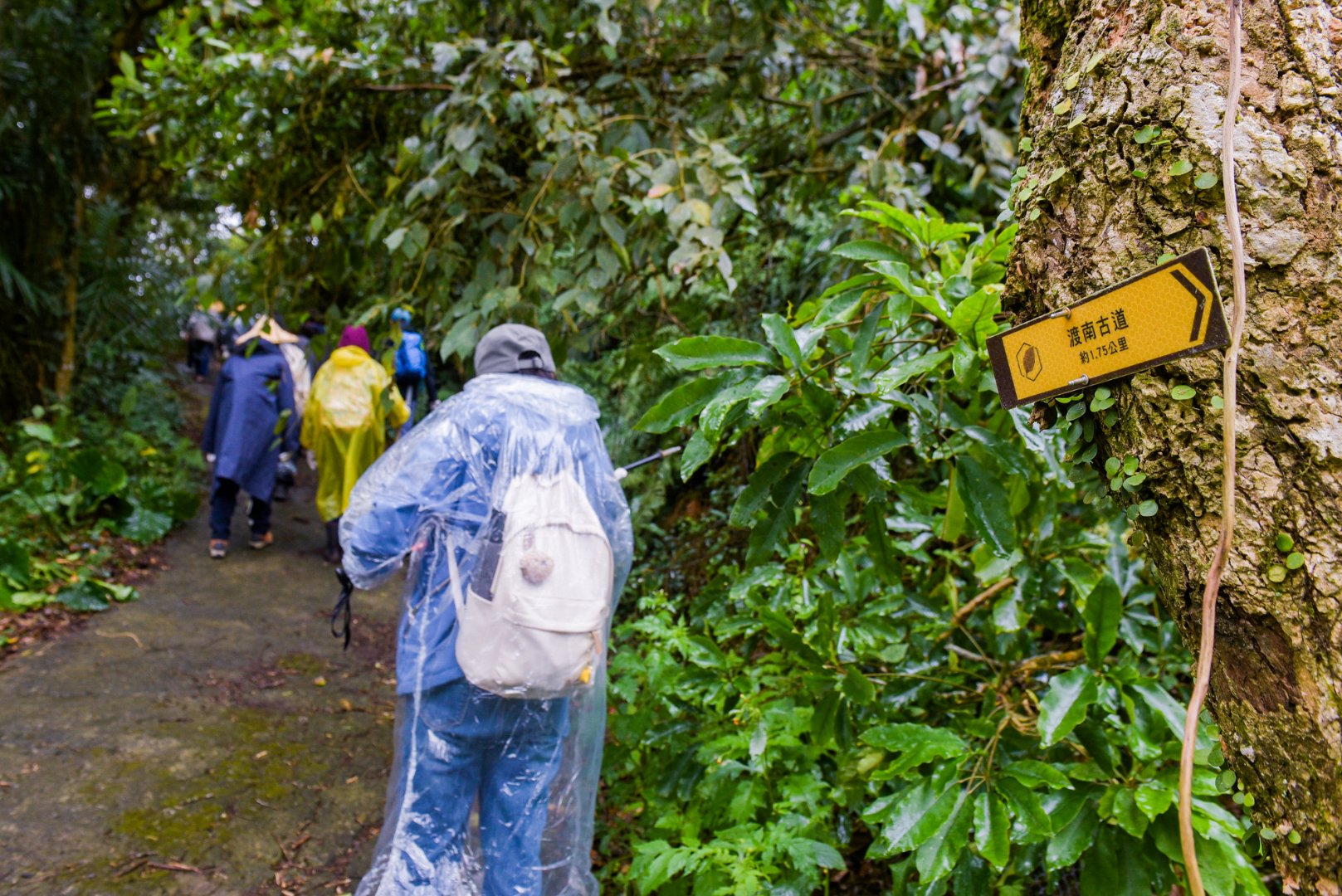 <br />
<b>Notice</b>:  Undefined index: msg_title in <b>/home/gibenqfo/public_html/modules/feature-slider_benq_detail.php</b> on line <b>54</b><br />
