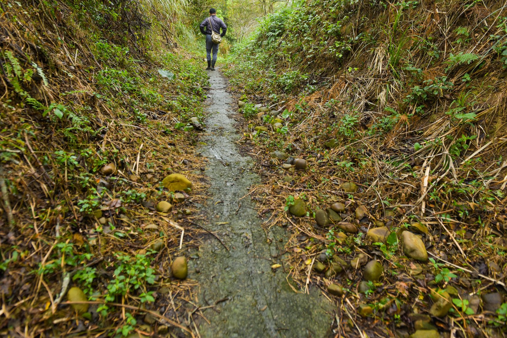 <br />
<b>Notice</b>:  Undefined index: msg_title in <b>/home/gibenqfo/public_html/modules/feature-slider_benq_detail.php</b> on line <b>54</b><br />
