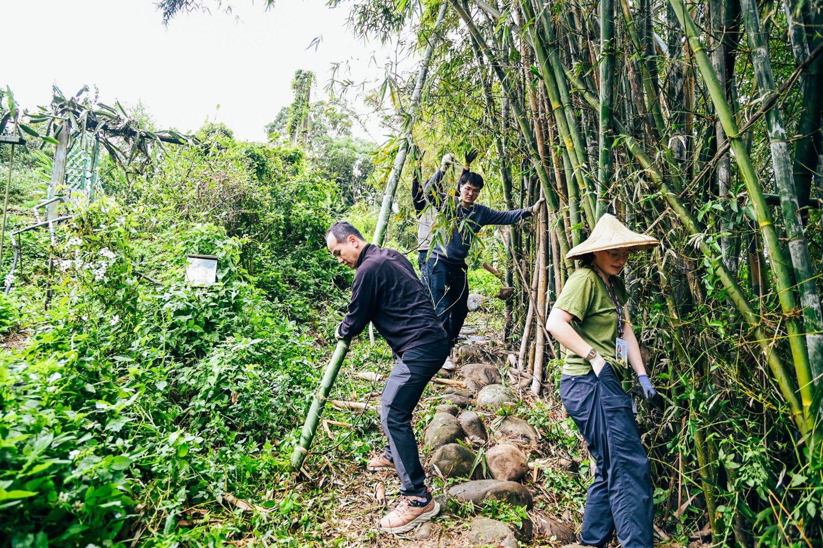 <br />
<b>Notice</b>:  Undefined index: msg_title in <b>/home/gibenqfo/public_html/modules/feature-slider_benq_detail.php</b> on line <b>54</b><br />
